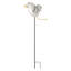 Piquet d'oiseau-873268397