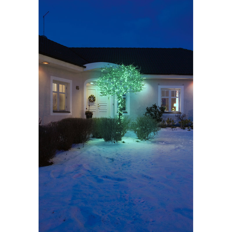 Kontsmide LED Wide Angle LED String Light, 1253 cm, Jade