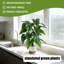 Arbre artificiel plante tropicale, pot de fleur blanc, arbre artificiel, bureau à la maison, salon, maison de campagne, arbre décoratif moderne, pas d'arrosage, arbre artificiel