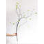 Spring Spring Branch - 37 po-1351213181-1351213168