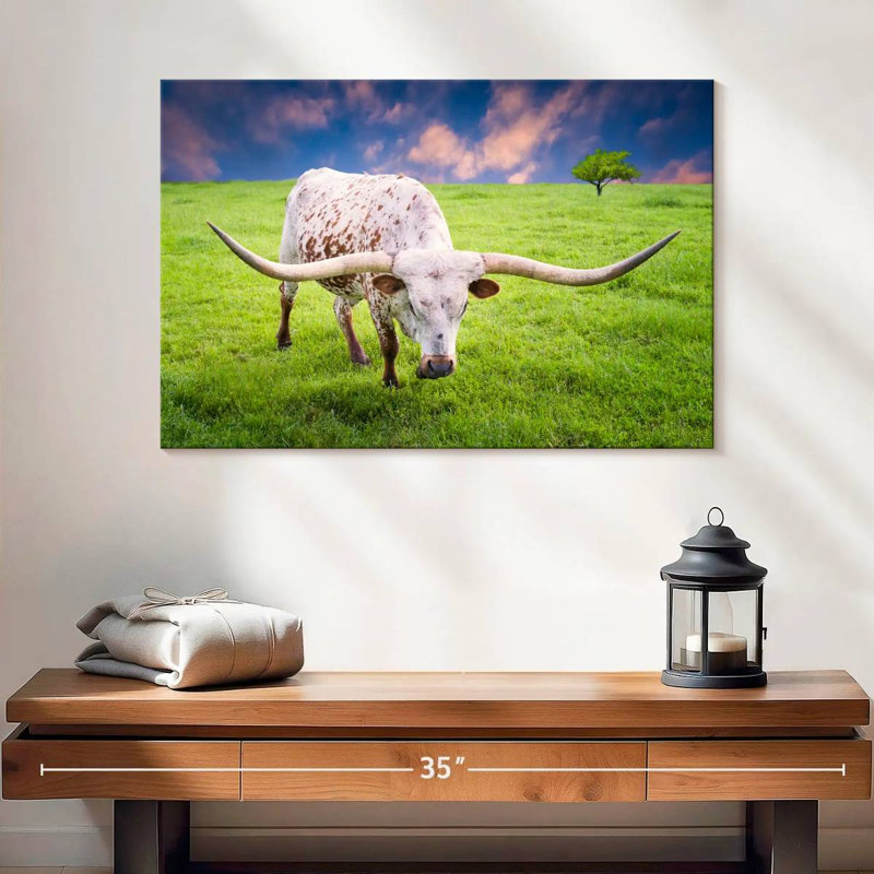 Brampt White Longhorn, 16" H x 24" W