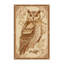 Tapis oriental beige doux en peluche douce Gosnells - reliure beige-1377463712