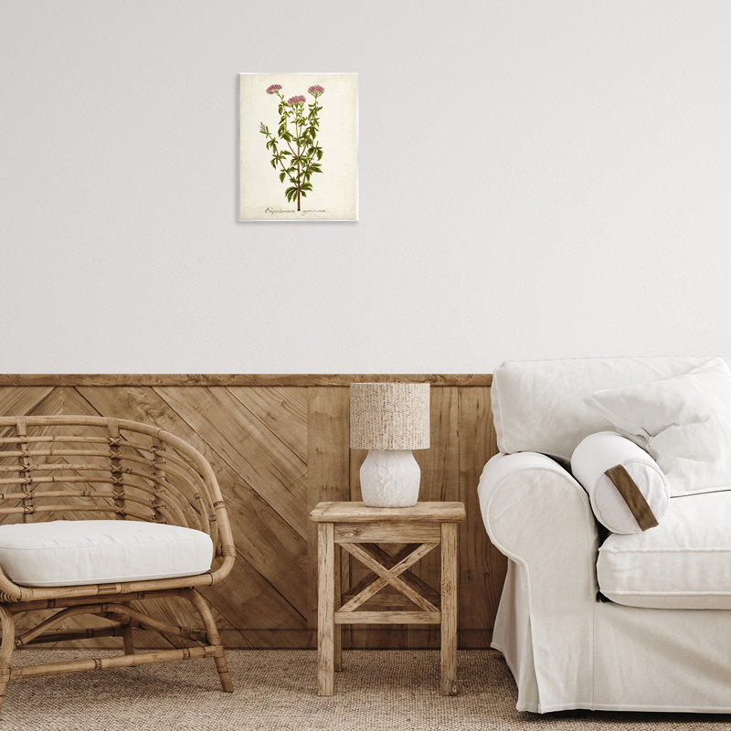Étude de fleur scientifique sur plaque murale par Inconnu