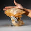 Cristal de calcite doré de la mine Elmwood, Tennessee (5,15 lb)