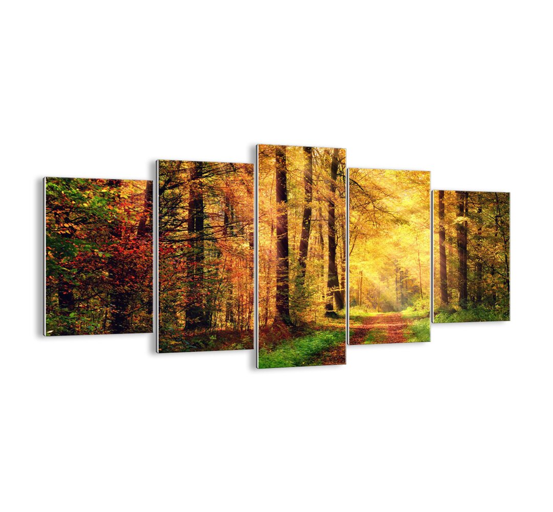 5-tlg. Glasbilder-Set - Fotografie „Forest-Golden Silence”