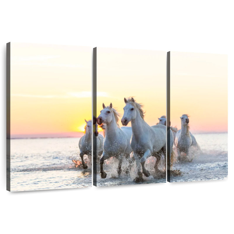 Chevaux de camargue Brampt au coucher du soleil, H 36 po x l 57 po