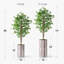 Arbre artificiel signleader-720201802