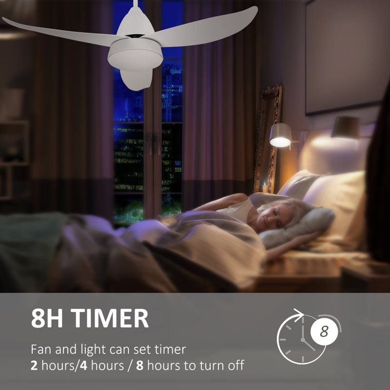 Nagma Ceiling Fan with Light Kit