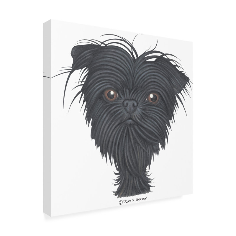 «Affenpinscher Bust» par Danny Gordon, impression sur toile tendue, H 14 po x l 14 po x P 2 po