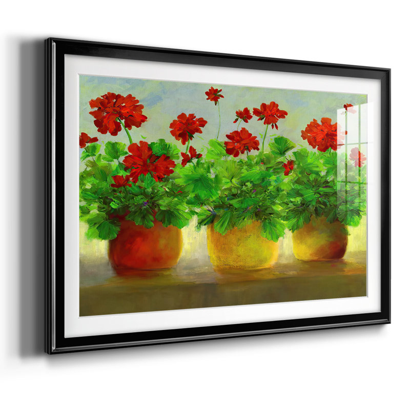 Geraniums III, reproduction d'art encadrée, Noir, H 27 po x l 39 po x P 1,5 po