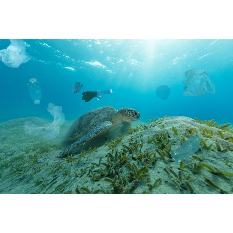 Underwater Global Problem with Plastic Rubbish - Wrapped Canvas Photograph, 20cm H x 30cm W