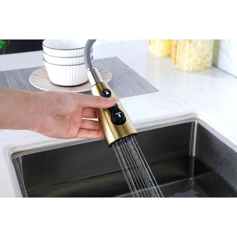 Robinet d'évier de cuisine à poignée simple en acier inoxydable avec douchette extractible, Or brossé