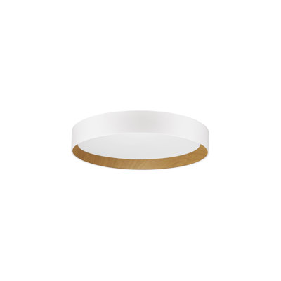 Derwyn LED Flush Mount