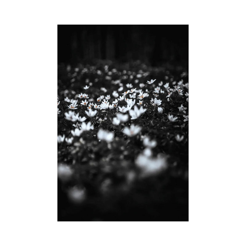 Windflowers 1 Piece Wrapped Canvas Wall Art, 30.48 cm H x 45.72 cm W
