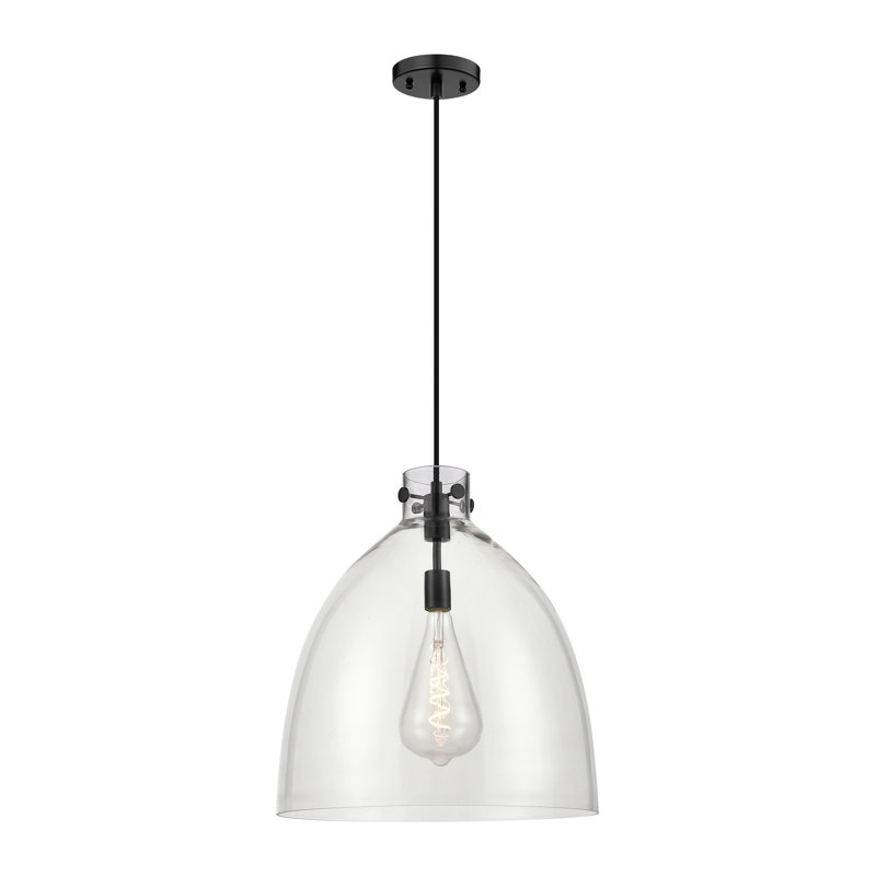 Luminaire suspendu à 1 lumière Badgett, Clair, Noir mat, H 16 po x l 14 po x P 14 po
