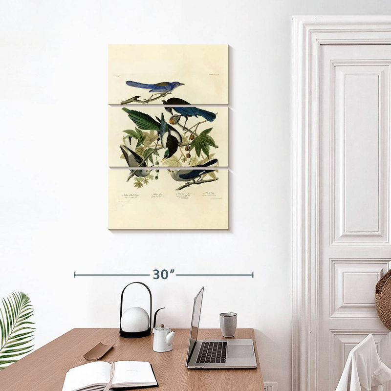 Assiette Brampt 362 d'oiseaux d'Amérique, H 32 po x l 20 po