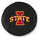Housse de roue NCAA