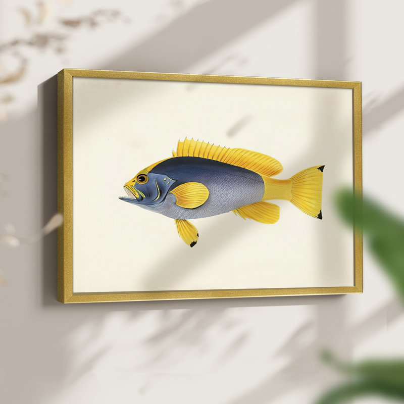 Tropical Fish Collection V -Framed Print - Restickable