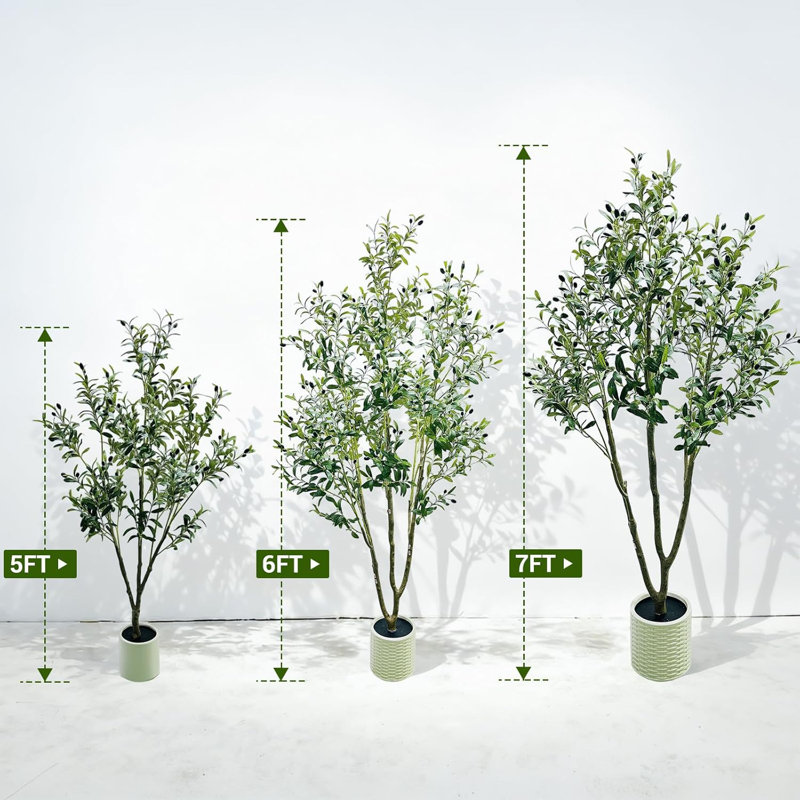 Plant, 150cm x 18cm
