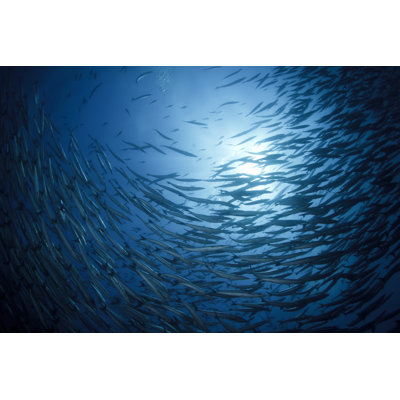 Deep Blue by Allianoi - No Frame Art Prints on Canvas