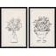 Diptyque fraîchement cueilli-203722224