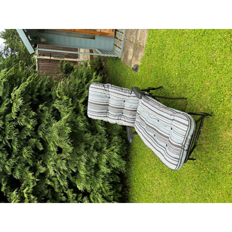 Celinez Steel Outdoor Lounge Chair, Grey , Black