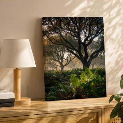 Reproduction d'art sur toile, "Une scène sereine dans la forêt"