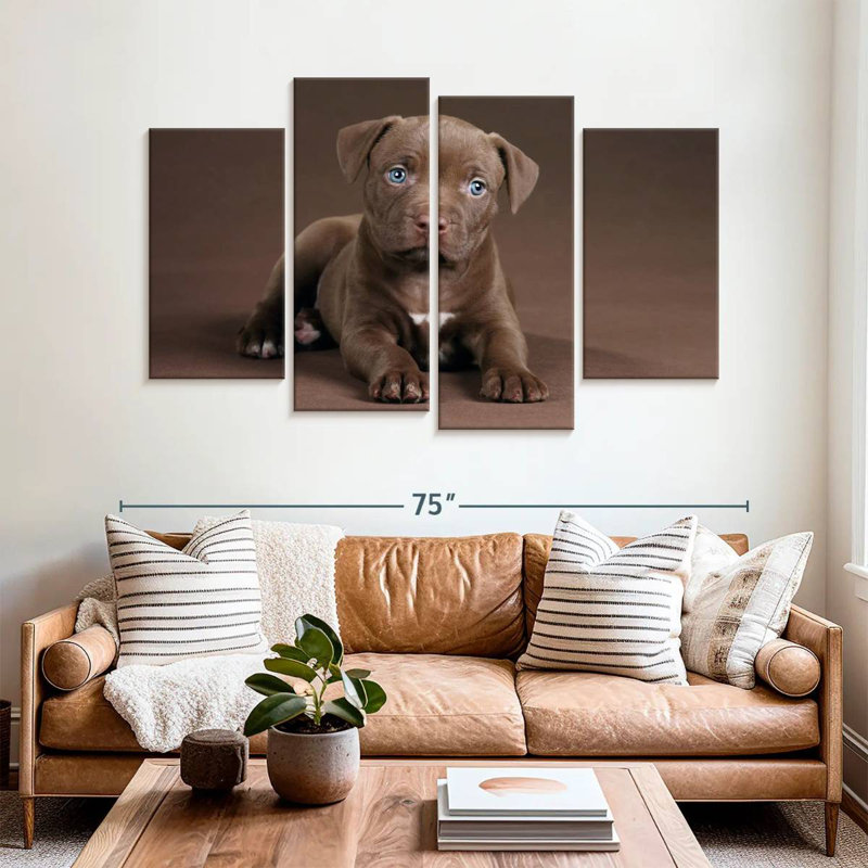 Chiot Brampt Pit Bull, H 32 po x l 52 po