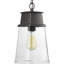 Luminaire suspendu d'extérieur à 1 ampoule de 14 po Adelyn-1688780372