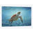 " Sea Turtle "-33109797-71538844