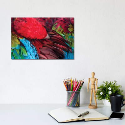 Parrot 1 Piece Wrapped Canvas Painting