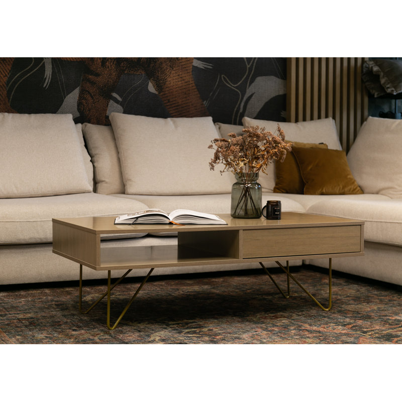 Anurima Coffee Table with Storage
