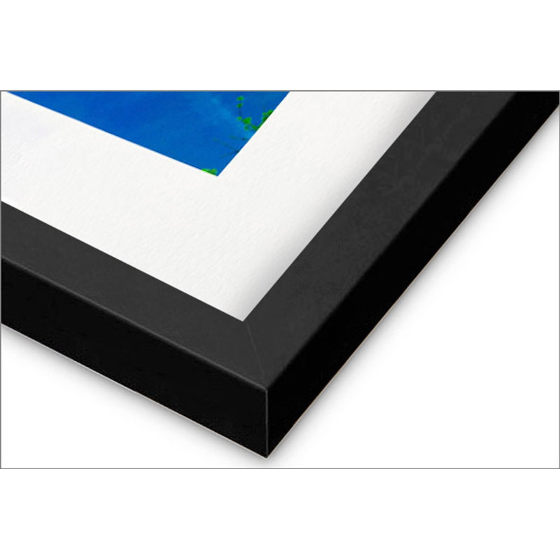 Gibbs Print, 11.75" H x 31.75" W, Black