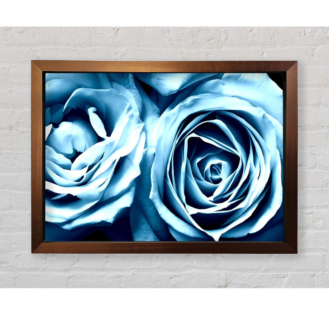 Gerahmtes Leinwandbild Twin Blue Roses