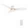 Smart Flush Mount Ceiling Fan with Light, Remote Control, DC Motor