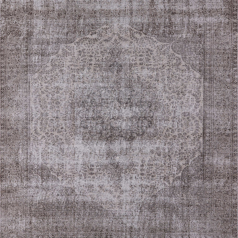 Anjannette Oriental Indoor Rug, Square 4'