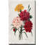 Bouquet botanique avec œillets par - Peinture-1316587970-1316587971