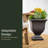 Danetra Pot Planter-1735281200