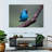 Brampt Vivid Blue Bird-107708453