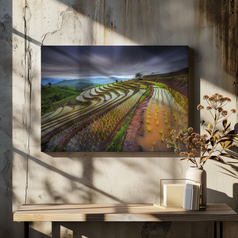 Wrapped Canvas Print, 76.2 cm H x 50.8 cm W