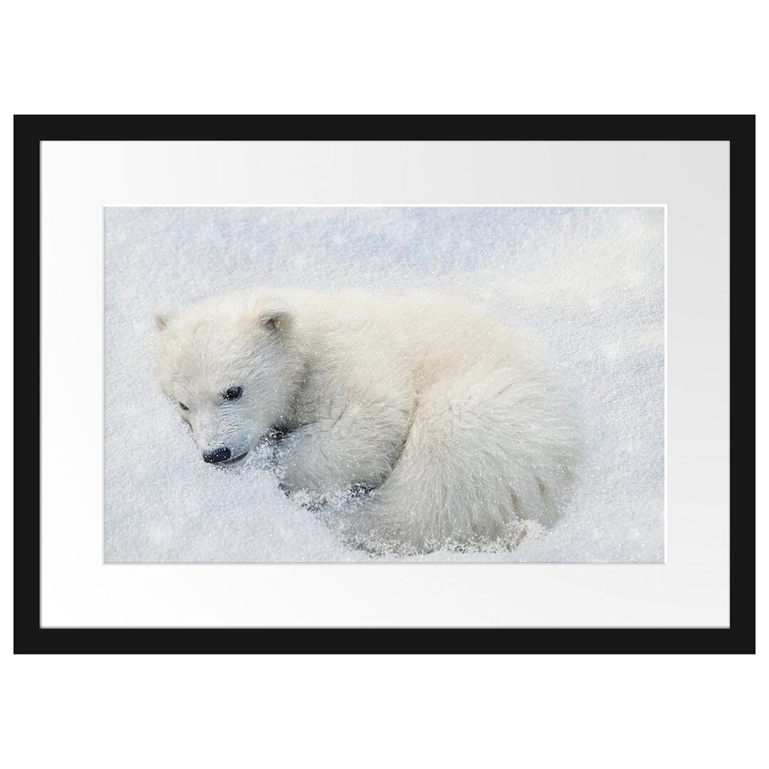 Gerahmtes Poster Eisbär im Schnee