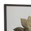 Gold Succulent C Print