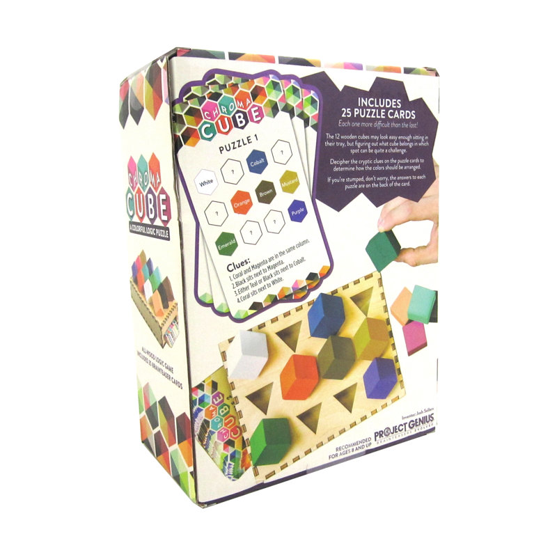 Project Genius 1 Player Paper Brainteaser