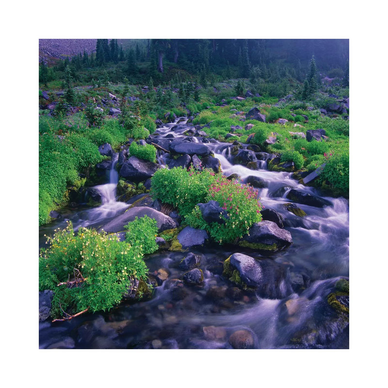Paradise River With Wildflowers, Mount Rainier National Park, Washington 1 Piece Wall Art on Canvas, Canvas