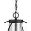 Reseda Outdoor Hanging Lantern