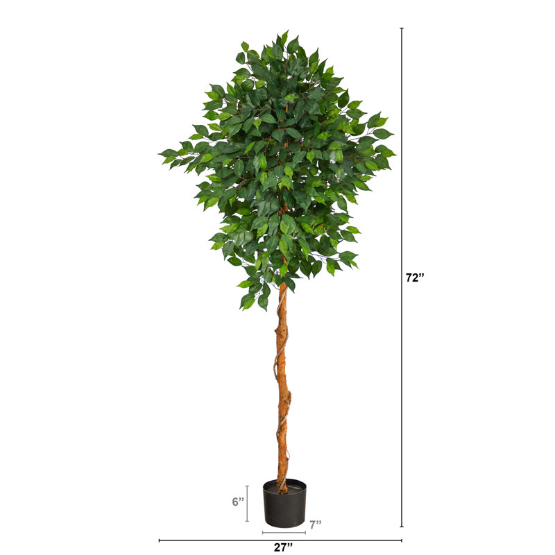 Faux Ficus Tree in Planter, 72" H x 27" W x 16" D