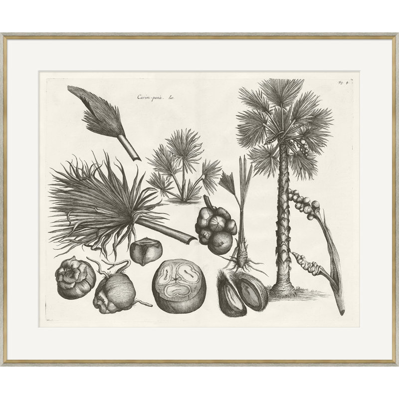 Malaberica Brittanica 2 - Cadre photo, reproduction d'art sur papier
