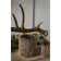 Glass Tabletop Votive Holder
