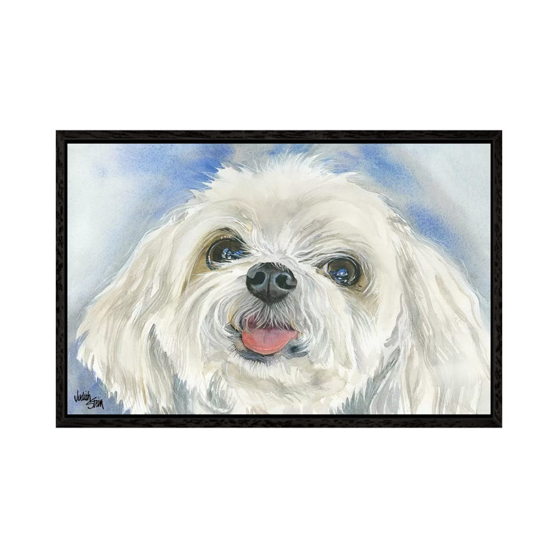 Matisse - Maltese by Judith Stein - Painting on Canvas, 45.72cm H x 66.04cm W x 3.81cm D, Black Framed