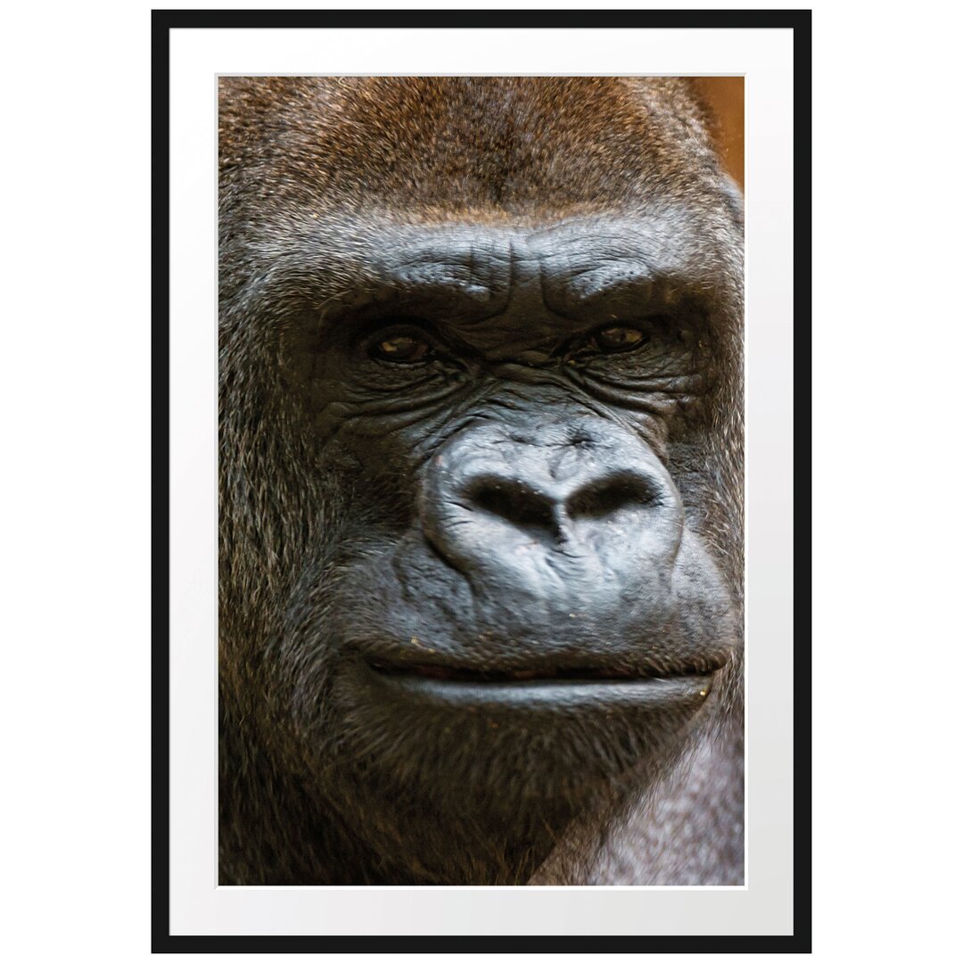 Gerahmtes Poster Stolzer Gorilla